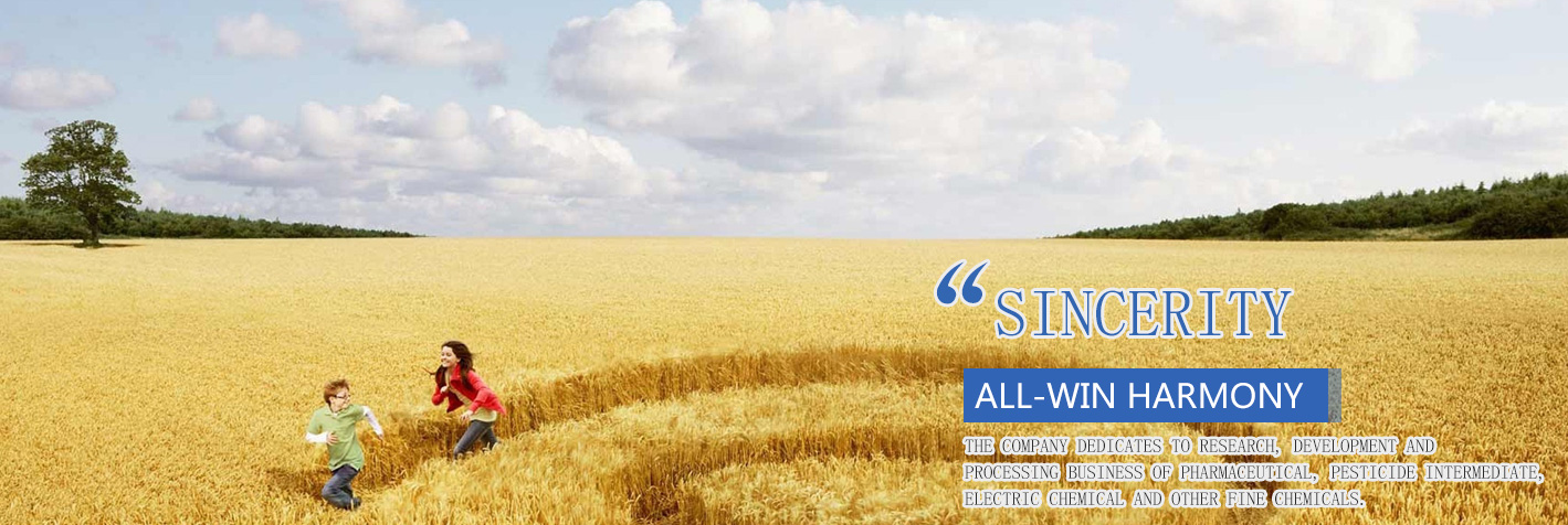 連云港淳達化工科技有限公司